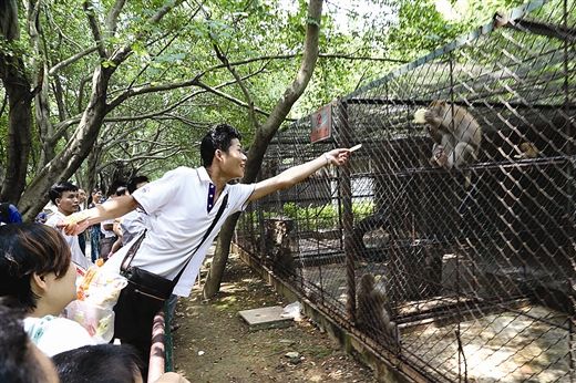 游客给猴子喂食，而前面挂有禁止喂食的牌子。南国早报记者 唐辉吉摄
