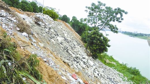 邕江河堤被建筑垃圾覆盖。