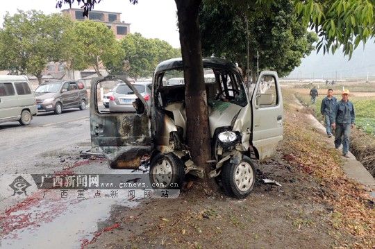 国道323线桂林市荔浦县纸厂路段，一辆微型车撞向对面路旁大树。