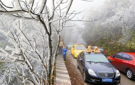 2月12日，大明山上迎来大批观赏雾凇的游人，引起了严重堵车。记者农如松摄