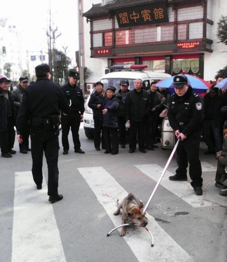 　有不少网友表示能够理解民警的做法，“不明来历的狗或许会给城市带来很多隐患，捕杀它只是在尽责”。