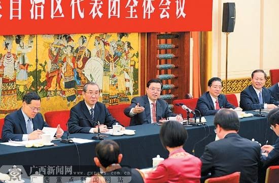 3月9日下午，中共中央政治局常委、全国人大常委会委员长张德江参加广西代表团审议。