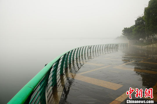 图为在大雾笼罩下的柳州市城区。雷彬 摄