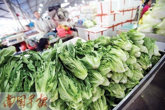 生菜价格连续上涨，目前售价为六七元公斤。