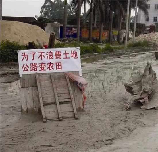 村民在合浦县山口镇325国道种秧苗，旁边立着“恶搞”标语，这两张图在网上火了。网络截图